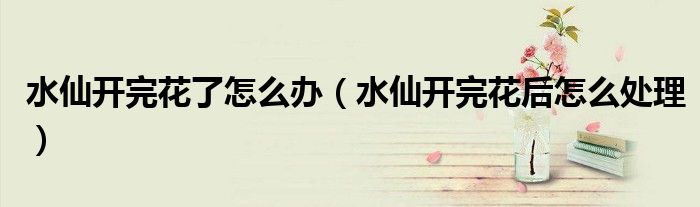 水仙开完花了怎么办(水仙开完花后怎么处理)