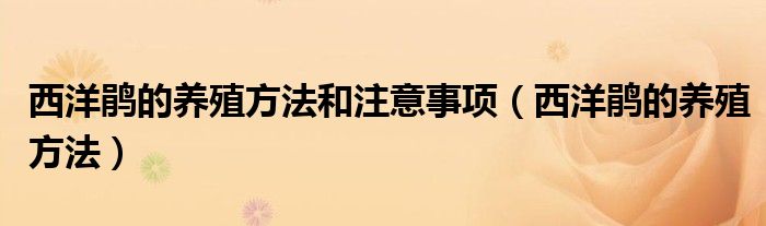 西洋鹃的养殖方法和注意事项(西洋鹃的养殖方法)