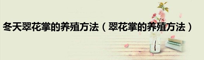 冬天翠花掌的养殖方法(翠花掌的养殖方法)