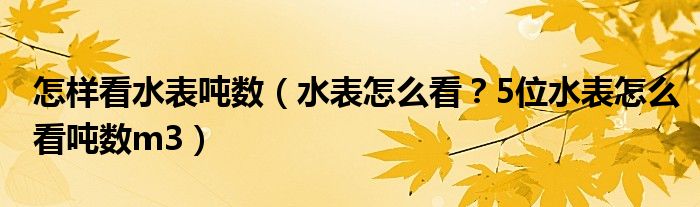 怎样看水表吨数(水表怎么看?5位水表怎么看吨数m3)