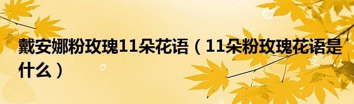 戴安娜粉玫瑰11朵花语(11朵粉玫瑰花语是什么)