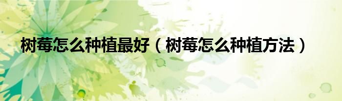 树莓怎么种植最好(树莓怎么种植方法)