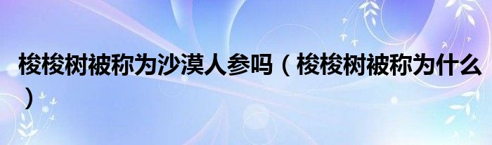 梭梭树被称为沙漠人参吗(梭梭树被称为什么)