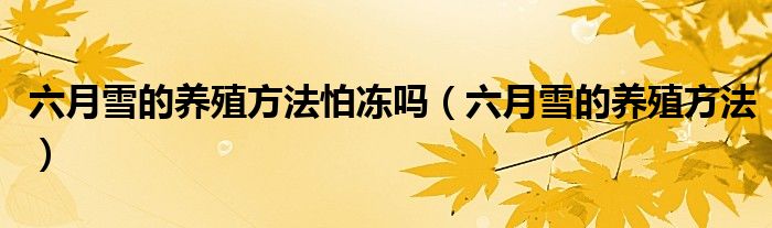 六月雪的养殖方法怕冻吗(六月雪的养殖方法)