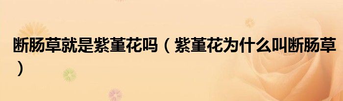 断肠草就是紫堇花吗(紫堇花为什么叫断肠草)