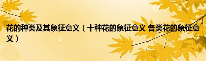 花的种类及其象征意义(十种花的象征意义 各类花的象征意义)