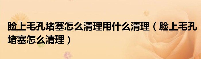 脸上毛孔堵塞怎么清理用什么清理（脸上毛孔堵塞怎么清理）