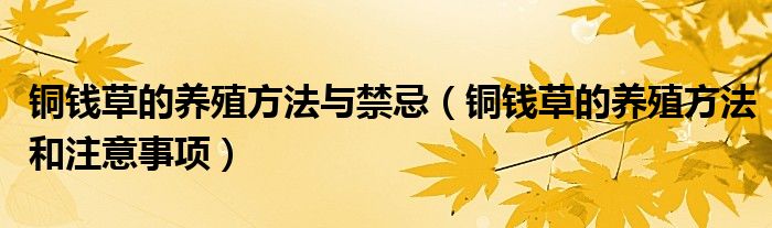 铜钱草的养殖方法与禁忌（铜钱草的养殖方法和注意事项）