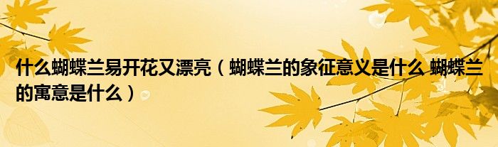 什么蝴蝶兰易开花又漂亮(蝴蝶兰的象征意义是什么 蝴蝶兰的寓意是什么)