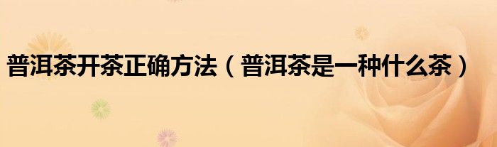 普洱茶开茶正确方法(普洱茶是一种什么茶)
