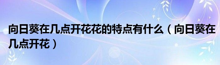 向日葵在几点开花花的特点有什么(向日葵在几点开花)