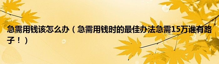 急需用钱该怎么办(急需用钱时的最佳办法急需15万谁有路子!)
