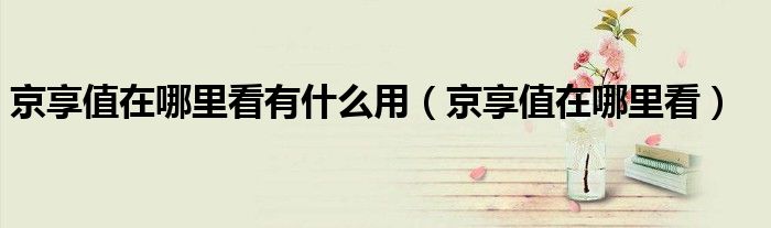 京享值在哪里看有什么用(京享值在哪里看)