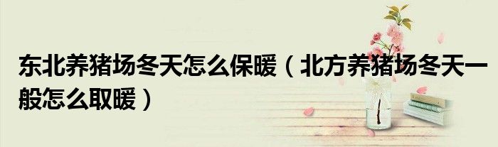 东北养猪场冬天怎么保暖(北方养猪场冬天一般怎么取暖)