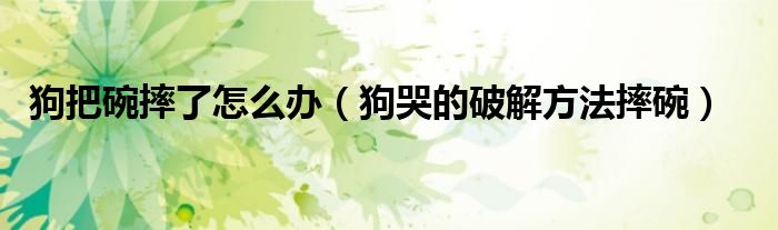 狗把碗摔了怎么办（狗哭的破解方法摔碗）