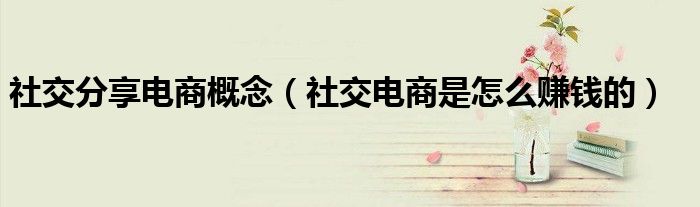 社交分享电商概念(社交电商是怎么赚钱的)