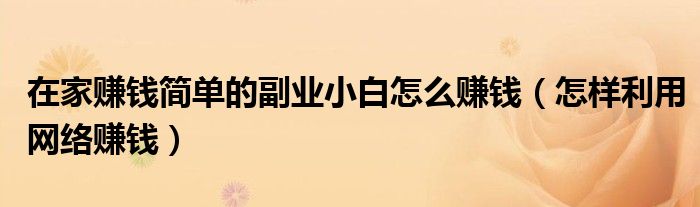 在家赚钱简单的副业小白怎么赚钱(怎样利用网络赚钱)