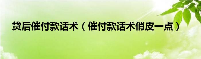 贷后催付款话术(催付款话术俏皮一点)