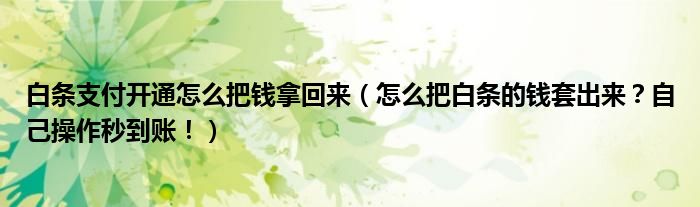 白条支付开通怎么把钱拿回来(怎么把白条的钱套出来?自己操作秒到账!)