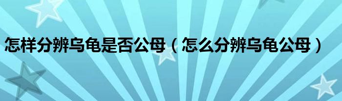 怎样分辨乌龟是否公母(怎么分辨乌龟公母)