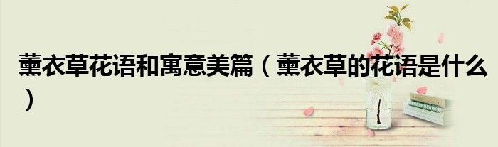 薰衣草花语和寓意美篇（薰衣草的花语是什么）