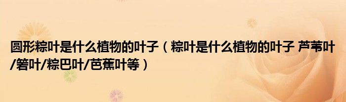 圆形粽叶是什么植物的叶子(粽叶是什么植物的叶子 芦苇叶/箬叶/粽巴叶/芭蕉叶等)