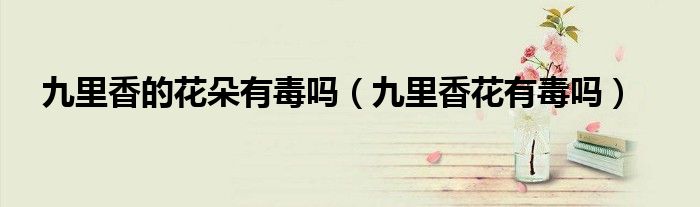 九里香的花朵有毒吗（九里香花有毒吗）