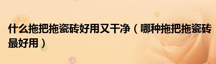 什么拖把拖瓷砖好用又干净(哪种拖把拖瓷砖最好用)