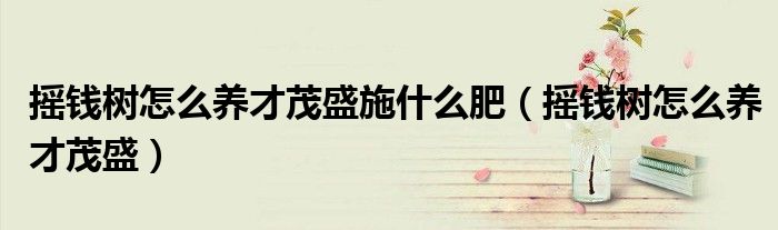 摇钱树怎么养才茂盛施什么肥(摇钱树怎么养才茂盛)