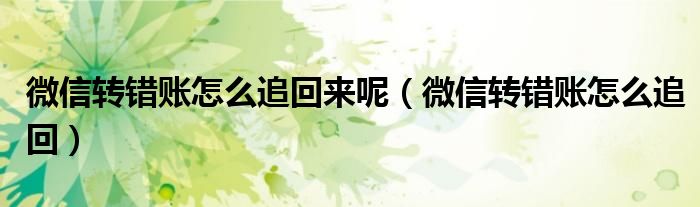 微信转错账怎么追回来呢(微信转错账怎么追回)