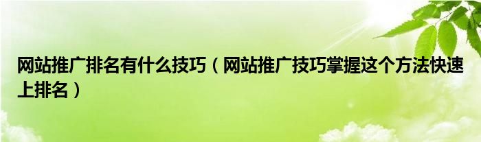 网站推广排名有什么技巧(网站推广技巧掌握这个方法快速上排名)