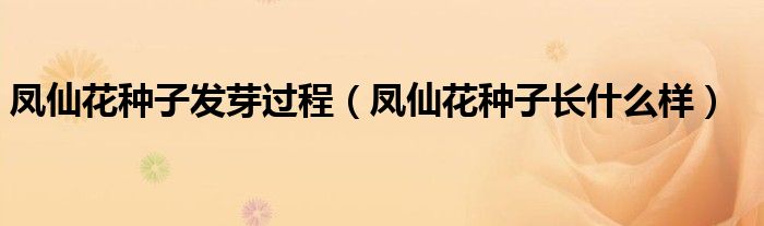 凤仙花种子发芽过程（凤仙花种子长什么样）
