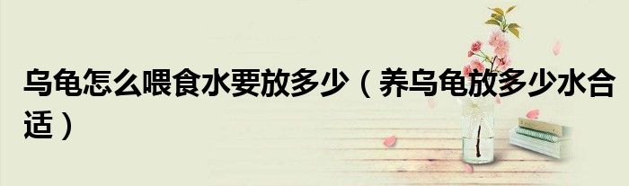 乌龟怎么喂食水要放多少(养乌龟放多少水合适)