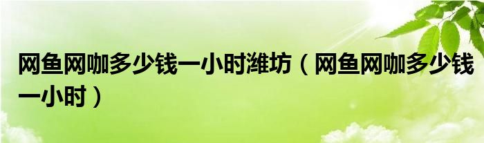 网鱼网咖多少钱一小时潍坊（网鱼网咖多少钱一小时）