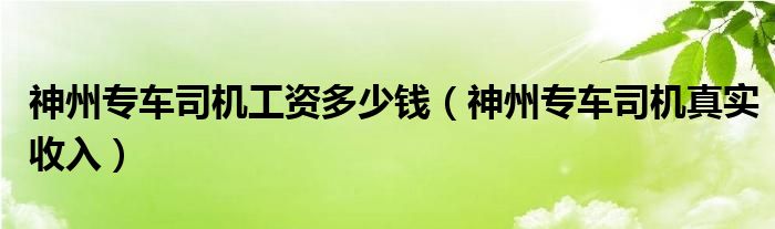 神州专车司机工资多少钱（神州专车司机真实收入）