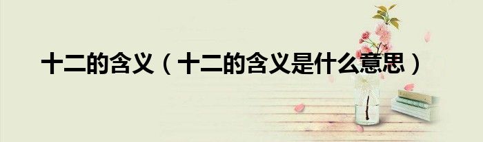十二的含义(十二的含义是什么意思)