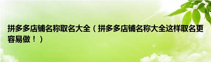 拼多多店铺名称取名大全(拼多多店铺名称大全这样取名更容易做!)