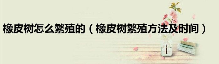 橡皮树怎么繁殖的(橡皮树繁殖方法及时间)