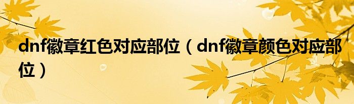 dnf徽章红色对应部位(dnf徽章颜色对应部位)