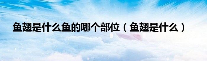 鱼翅是什么鱼的哪个部位(鱼翅是什么)