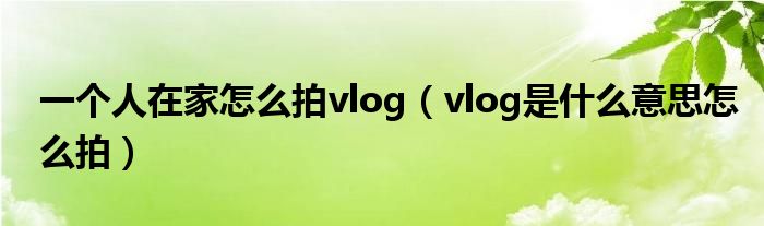 一个人在家怎么拍vlog(vlog是什么意思怎么拍)