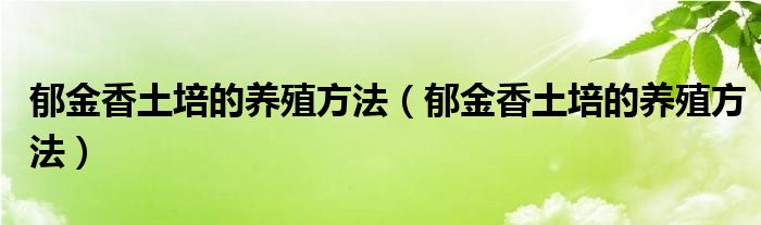 郁金香土培的养殖方法(郁金香土培的养殖方法)