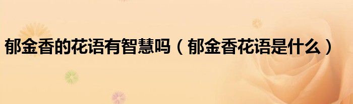 郁金香的花语有智慧吗(郁金香花语是什么)