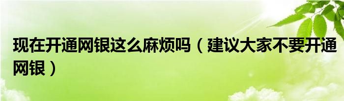 现在开通网银这么麻烦吗(建议大家不要开通网银)