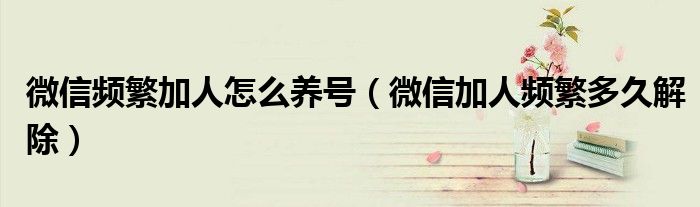 微信频繁加人怎么养号(微信加人频繁多久解除)