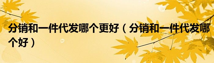 分销和一件代发哪个更好(分销和一件代发哪个好)