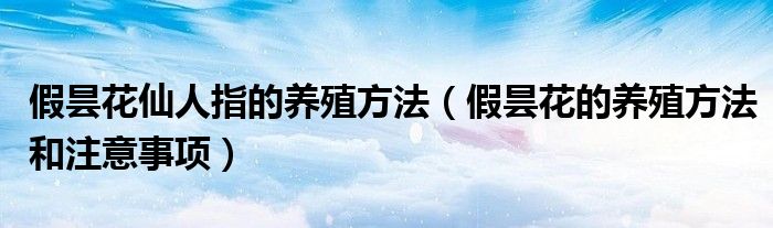 假昙花仙人指的养殖方法(假昙花的养殖方法和注意事项)