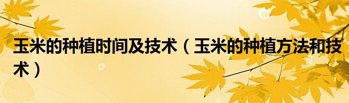 玉米的种植时间及技术(玉米的种植方法和技术)