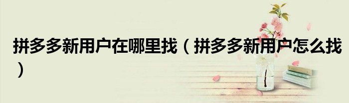 拼多多新用户在哪里找(拼多多新用户怎么找)