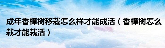 成年香樟树移栽怎么样才能成活(香樟树怎么栽才能栽活)